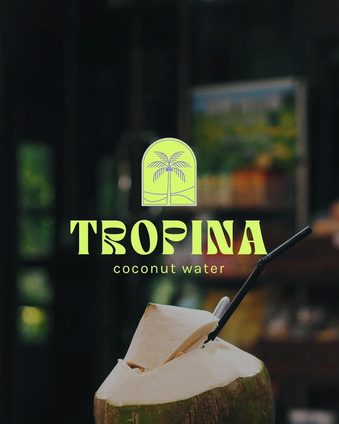 Logo Tropina — identité visuelle par Marion Gosse
